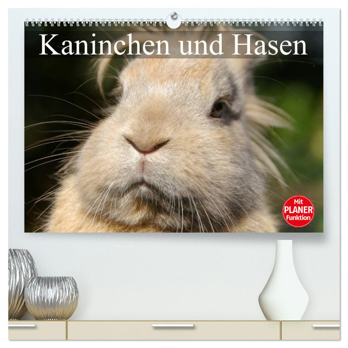 Kaninchen und Hasen (CALVENDO Premium Wandkalender 2025)