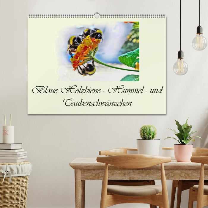 Blaue Holzbiene – Hummel – und Taubenschwänzchen. (CALVENDO Wandkalender 2025)