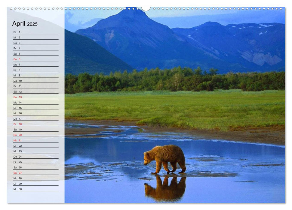 Alaska - Weites Land (CALVENDO Premium Wandkalender 2025)