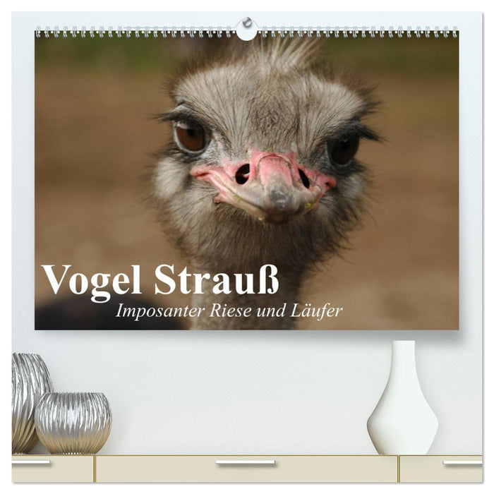 Vogel Strauß. Imposanter Riese und Läufer (CALVENDO Premium Wandkalender 2025)