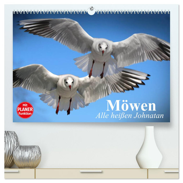 Möwen. Alle heißen Johnatan (CALVENDO Premium Wandkalender 2025)