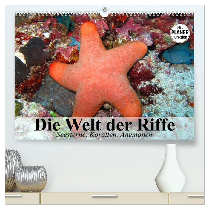 Die Welt der Riffe. Seesterne, Korallen, Anemonen (CALVENDO Premium Wandkalender 2025)