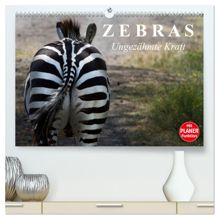 Zebras - Ungezähmte Kraft (CALVENDO Premium Wandkalender 2025)