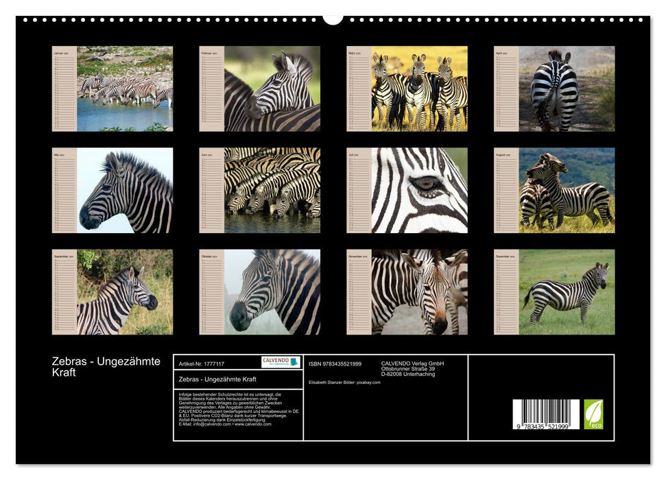 Zebras - Ungezähmte Kraft (CALVENDO Premium Wandkalender 2025)