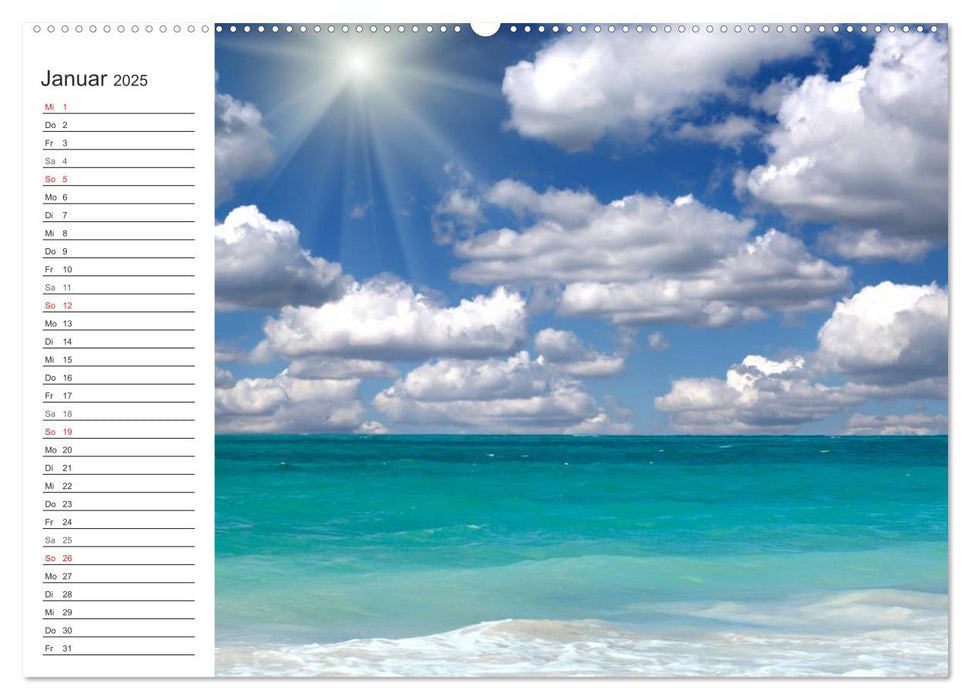 Muscheln und Strand - Sommerträume (CALVENDO Premium Wandkalender 2025)