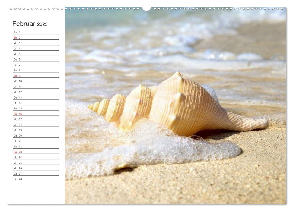 Muscheln und Strand - Sommerträume (CALVENDO Premium Wandkalender 2025)