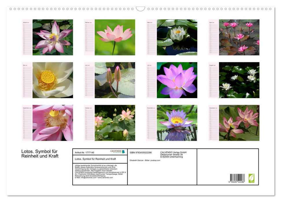 Lotos. Symbol für Reinheit und Kraft (CALVENDO Wandkalender 2025)