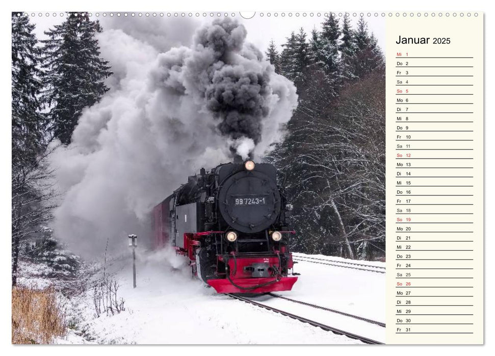 Der Harz - Sagenumwoben und Wildromantisch (CALVENDO Premium Wandkalender 2025)