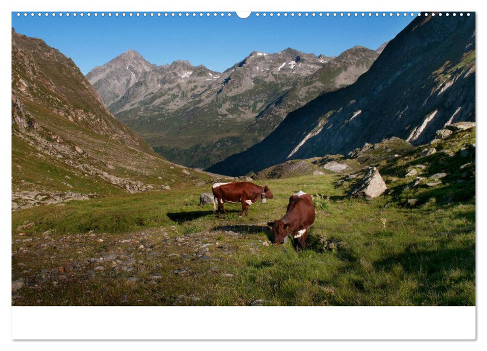 Bekannte und unbekannte Almen in Südtirol (CALVENDO Wandkalender 2025)