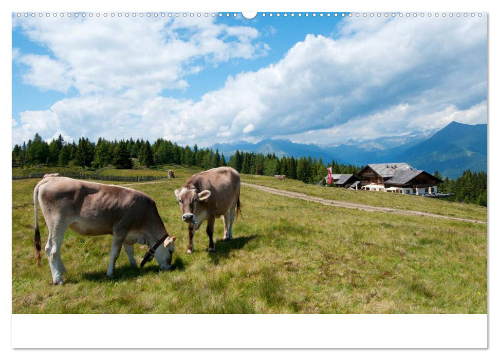 Bekannte und unbekannte Almen in Südtirol (CALVENDO Wandkalender 2025)