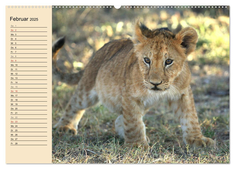 Afrikas wildes Kinderzimmer (CALVENDO Premium Wandkalender 2025)