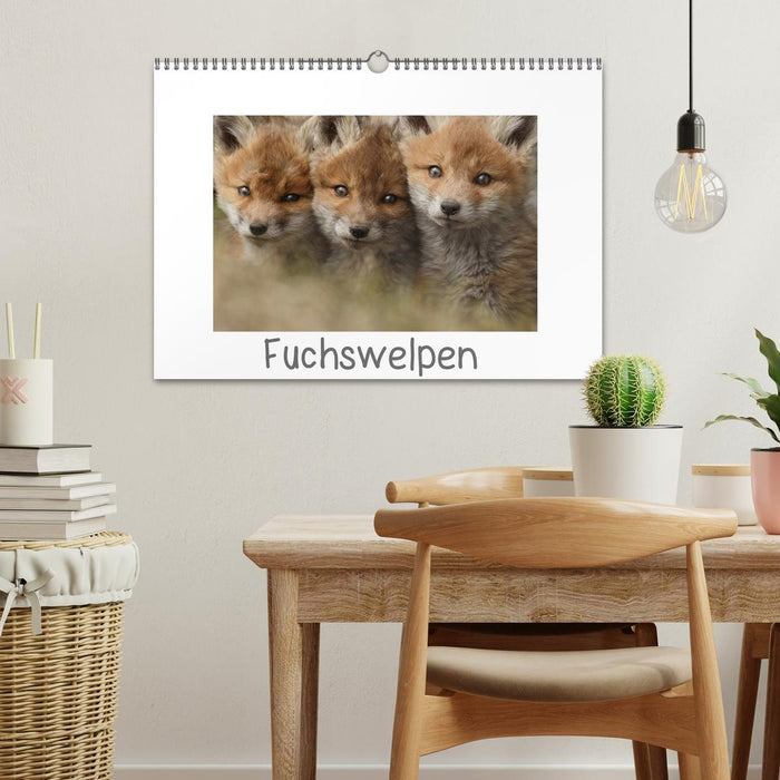 Fuchswelpen (CALVENDO Wandkalender 2025)