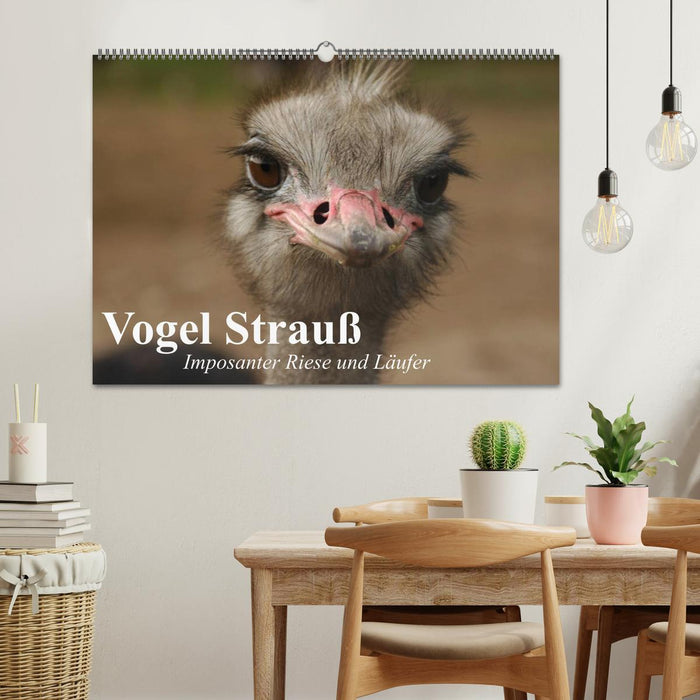 Vogel Strauß. Imposanter Riese und Läufer (CALVENDO Wandkalender 2025)