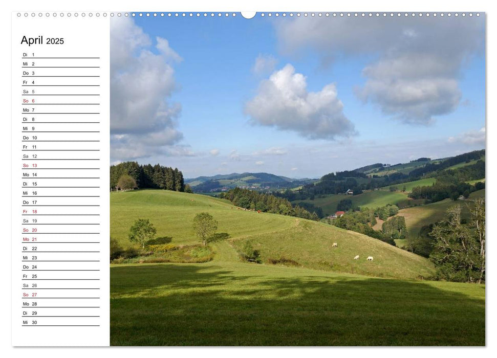 Südschwarzwald - Impressionen (CALVENDO Premium Wandkalender 2025)