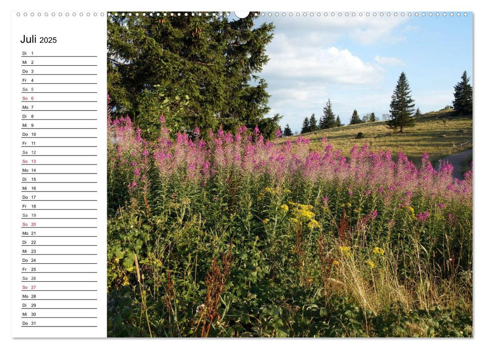 Südschwarzwald - Impressionen (CALVENDO Premium Wandkalender 2025)