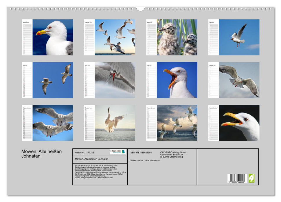 Möwen. Alle heißen Johnatan (CALVENDO Wandkalender 2025)
