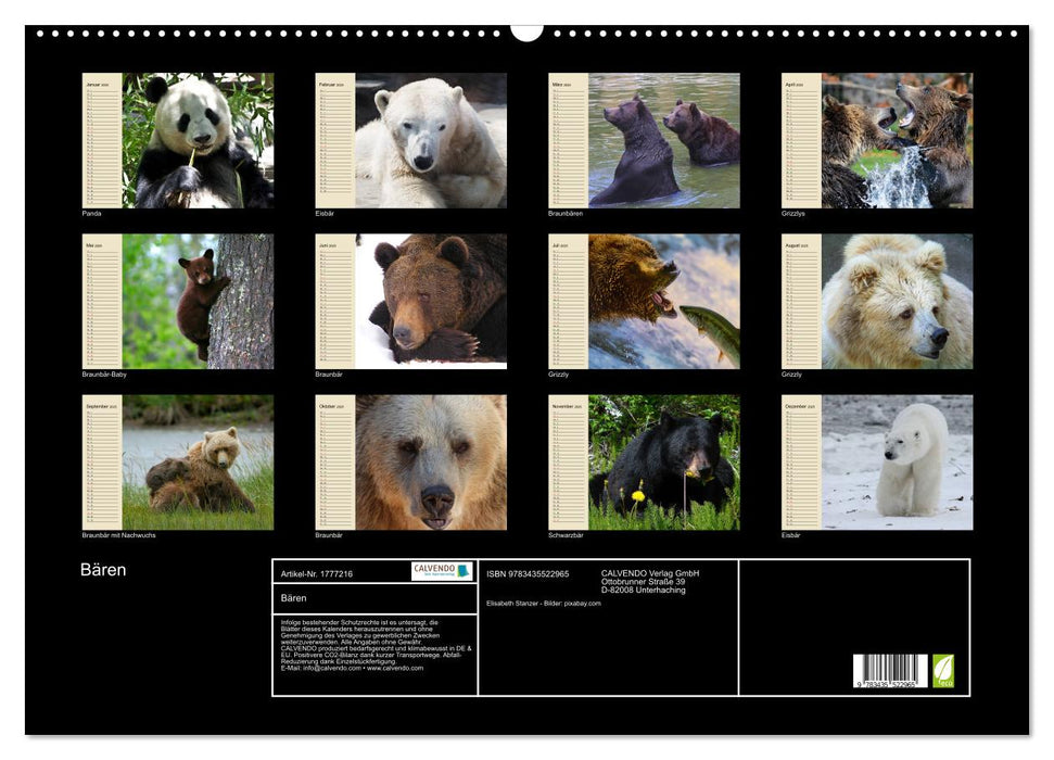 Bären (CALVENDO Wandkalender 2025)