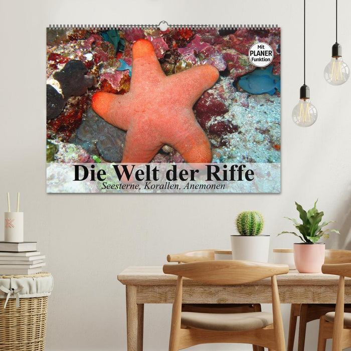 Die Welt der Riffe. Seesterne, Korallen, Anemonen (CALVENDO Wandkalender 2025)