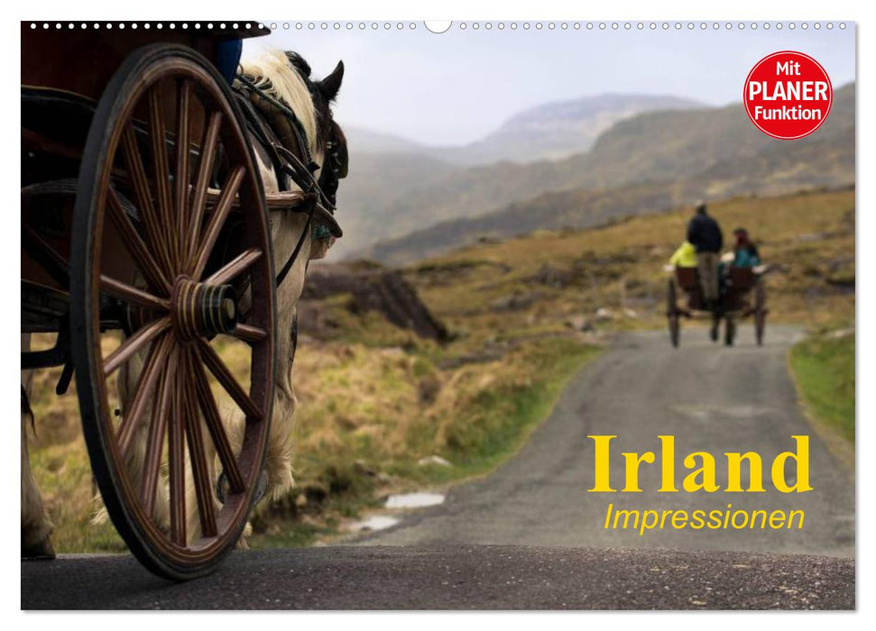 Irland. Impressionen (CALVENDO Wandkalender 2025)