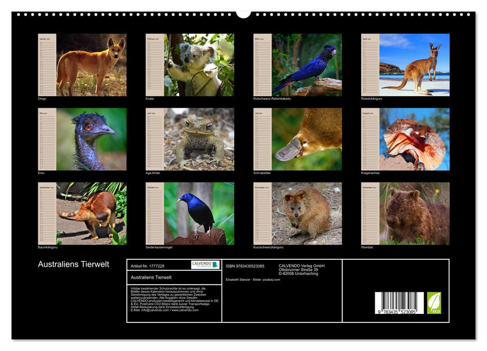 Australiens Tierwelt (CALVENDO Premium Wandkalender 2025)