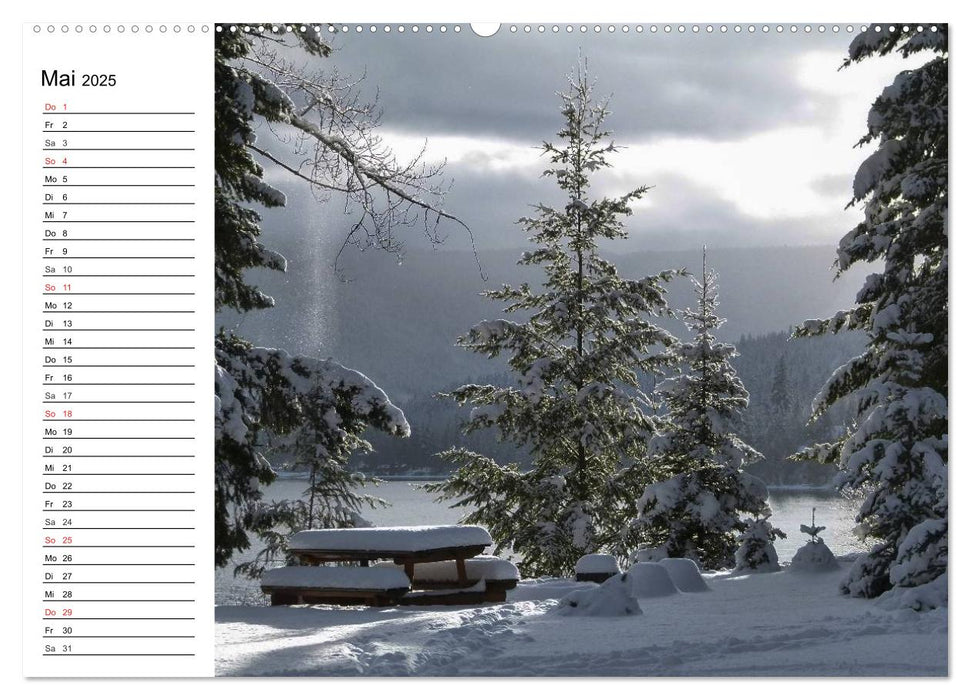 Wintermärchen. Landschaften im Schnee (CALVENDO Premium Wandkalender 2025)