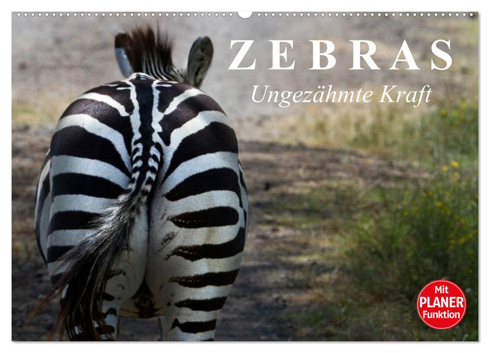 Zebras - Ungezähmte Kraft (CALVENDO Wandkalender 2025)