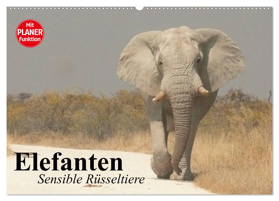 Elefanten. Sensible Rüsseltiere (CALVENDO Wandkalender 2025)