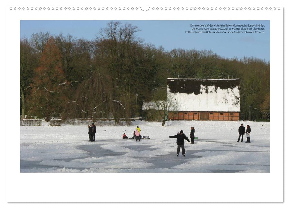 Rosenstadt Uetersen (CALVENDO Premium Wandkalender 2025)