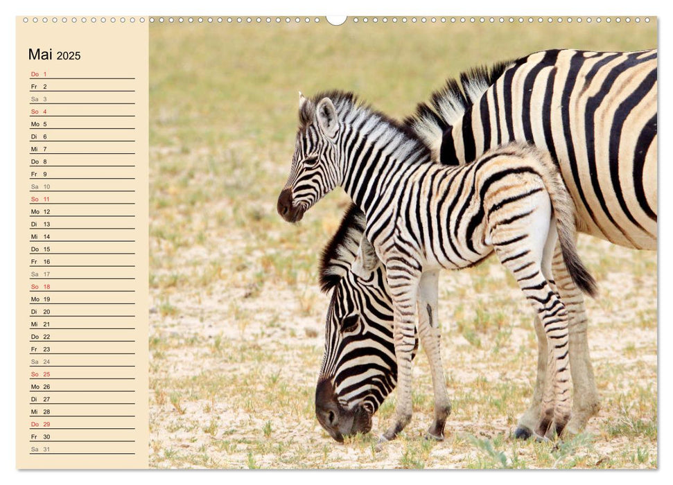 Afrikas wildes Kinderzimmer (CALVENDO Wandkalender 2025)