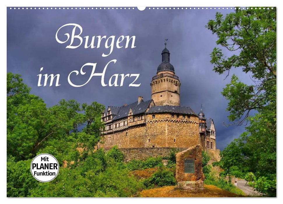 Burgen im Harz (CALVENDO Wandkalender 2025)