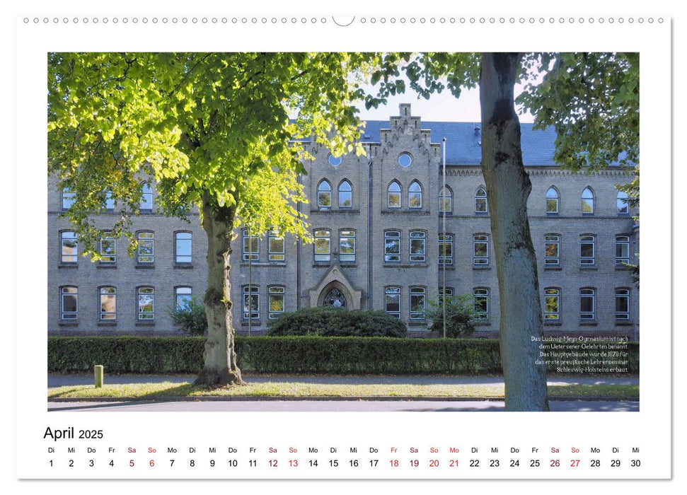 Rosenstadt Uetersen (CALVENDO Wandkalender 2025)