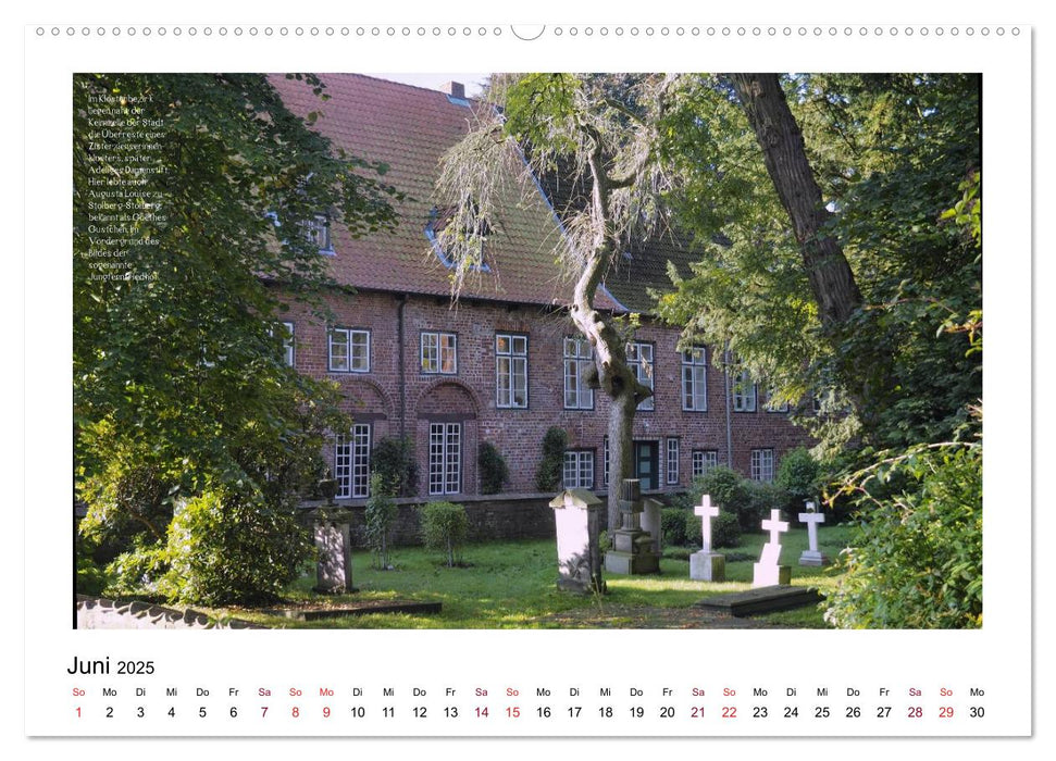 Rosenstadt Uetersen (CALVENDO Wandkalender 2025)