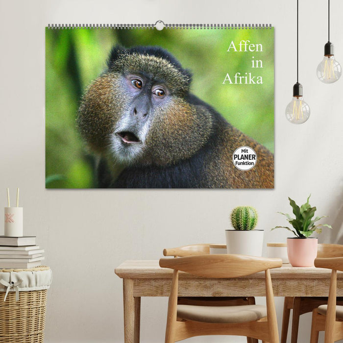 Affen in Afrika (CALVENDO Wandkalender 2025)