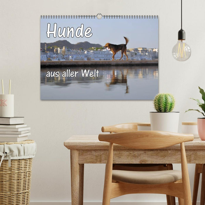 Hunde aus aller Welt (CALVENDO Wandkalender 2025)