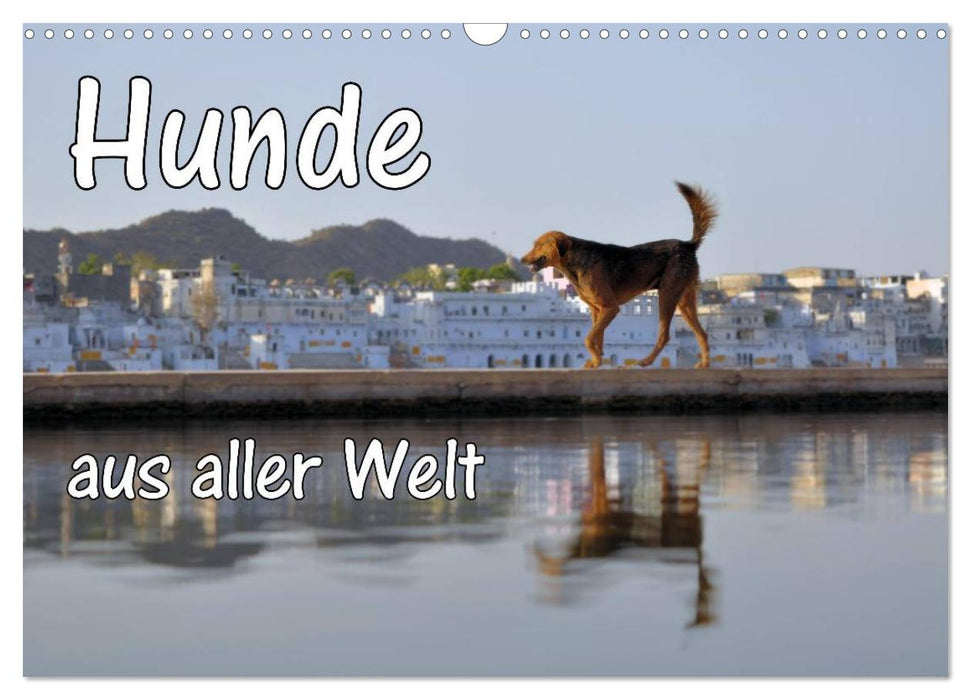 Hunde aus aller Welt (CALVENDO Wandkalender 2025)