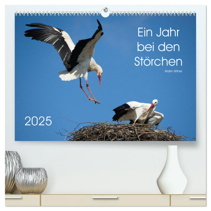 Ein Jahr bei den Störchen (CALVENDO Premium Wandkalender 2025)