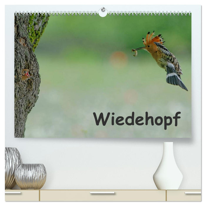 Wiedehopf (CALVENDO Premium Wandkalender 2025)