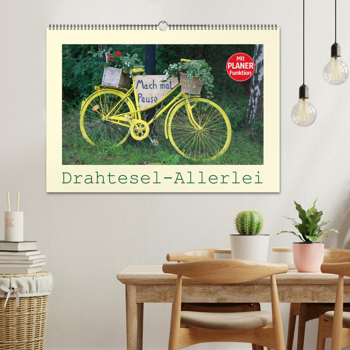 Drahtesel-Allerlei (CALVENDO Wandkalender 2025)