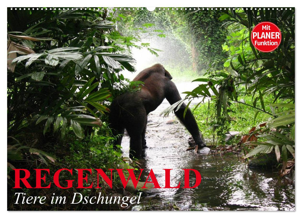 Regenwald. Tiere im Dschungel (CALVENDO Wandkalender 2025)