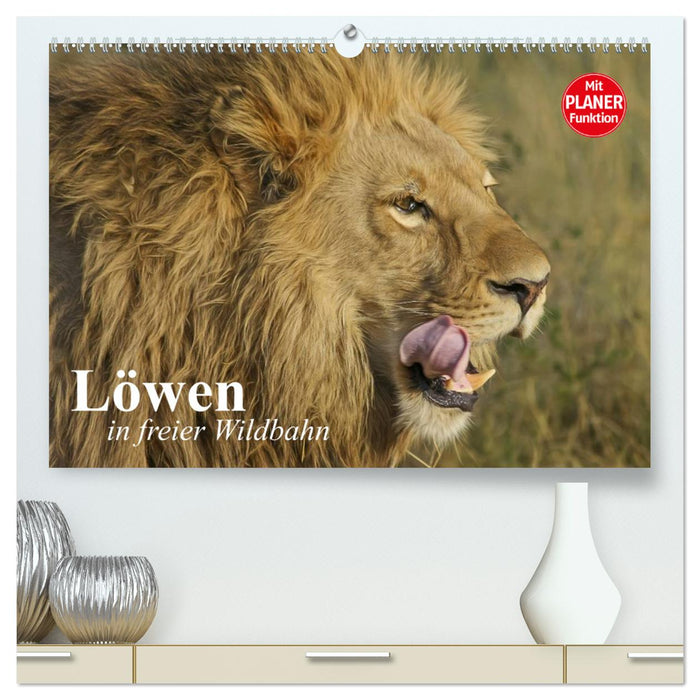 Löwen in freier Wildbahn (CALVENDO Premium Wandkalender 2025)