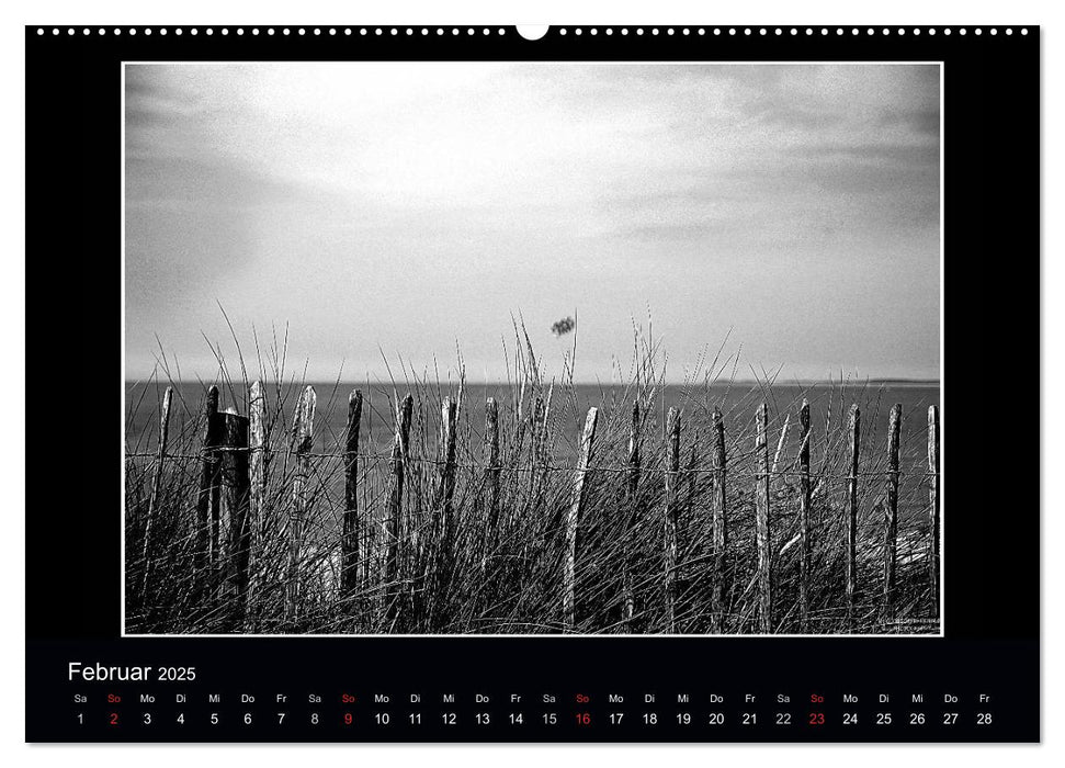 Zur Ruhe kommen in Zeeland (CALVENDO Wandkalender 2025)