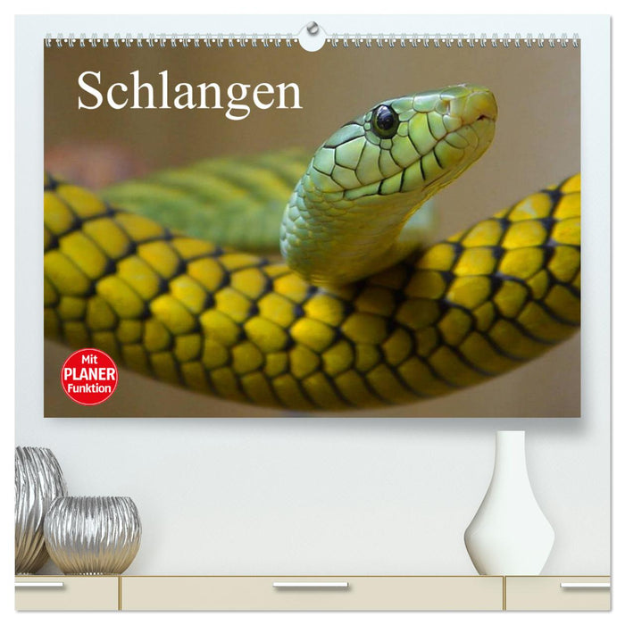 Schlangen (CALVENDO Premium Wandkalender 2025)