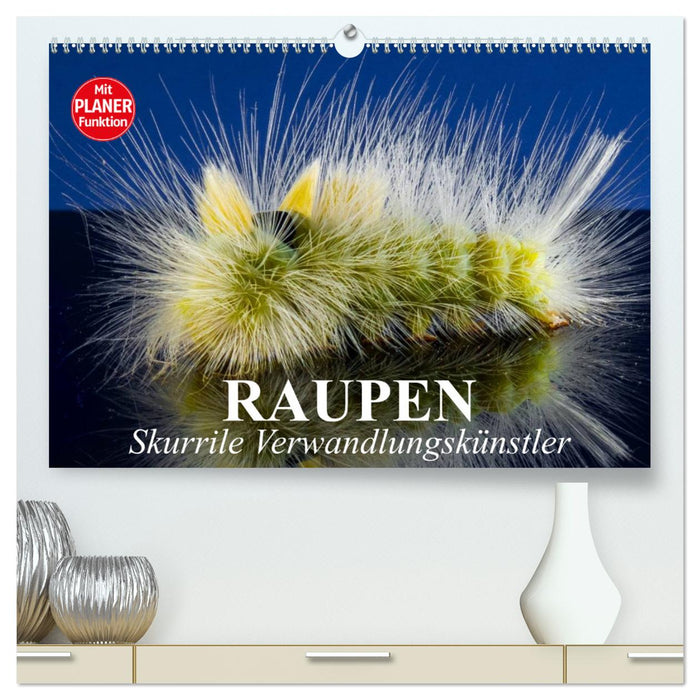 Raupen. Skurrile Verwandlungskünstler (CALVENDO Premium Wandkalender 2025)