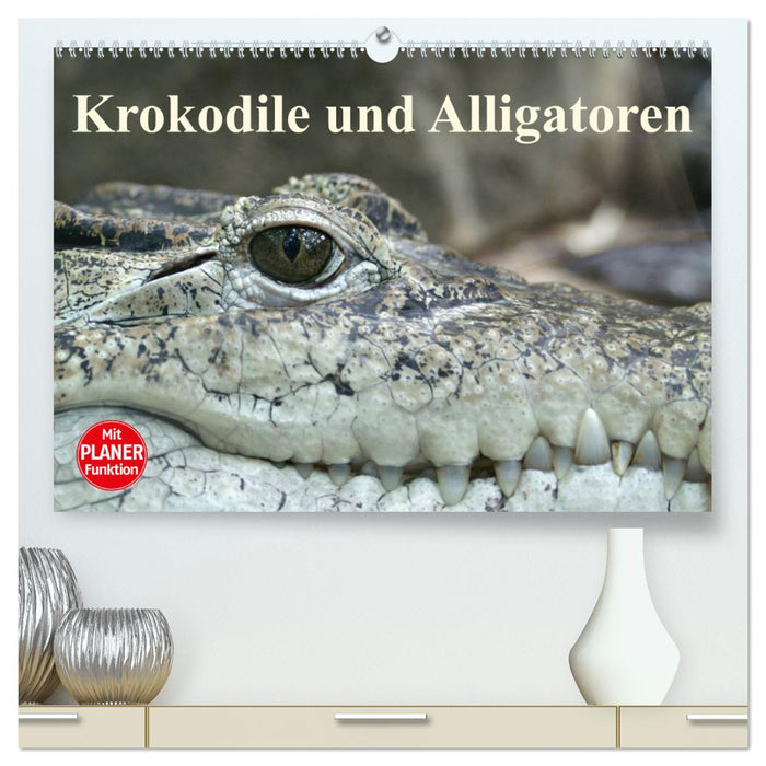 Krokodile und Alligatoren (CALVENDO Premium Wandkalender 2025)