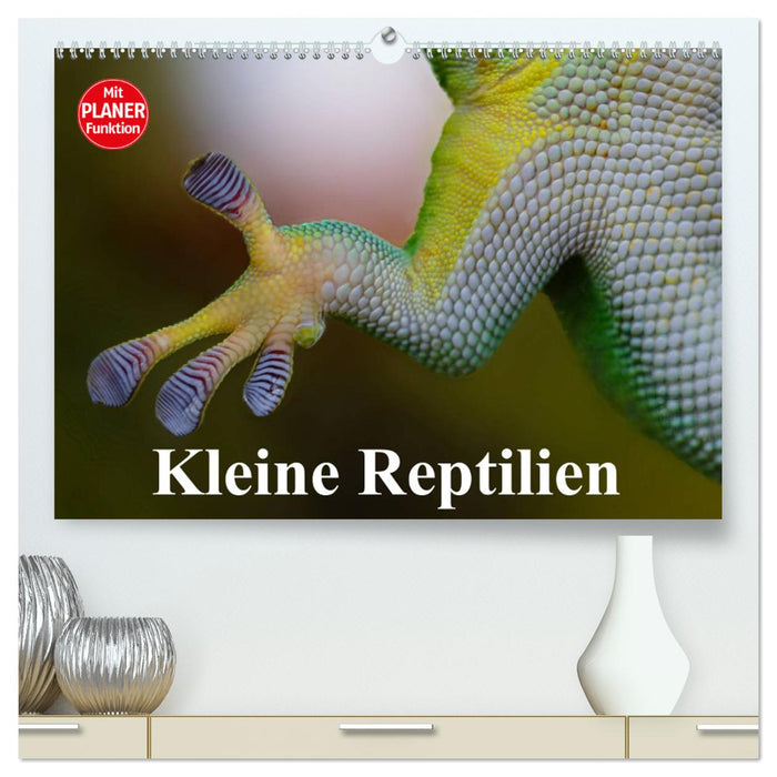 Kleine Reptilien (CALVENDO Premium Wandkalender 2025)