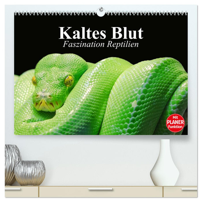 Kaltes Blut. Faszination Reptilien (CALVENDO Premium Wandkalender 2025)