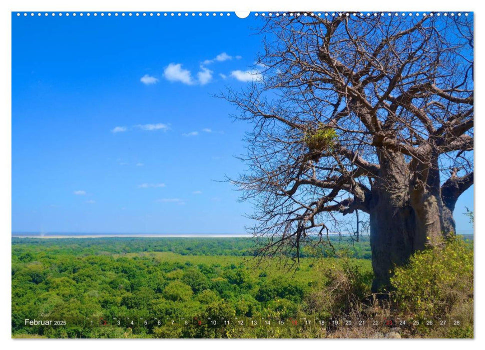 Tansania - Faszinierendes Afrika (CALVENDO Wandkalender 2025)