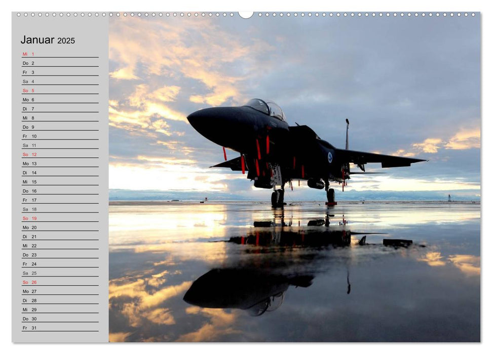 Faszination Kampfflugzeuge (CALVENDO Premium Wandkalender 2025)