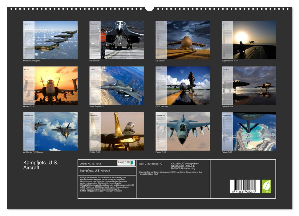 Kampfjets. U.S. Aircraft (CALVENDO Premium Wandkalender 2025)