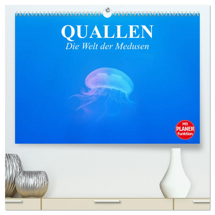 Quallen. Die Welt der Medusen (CALVENDO Premium Wandkalender 2025)